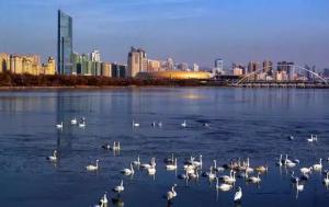 三門(mén)峽又一網(wǎng)紅景點(diǎn)，確定不來(lái)pick一下？