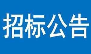 文達(dá)碧城府住宅小區(qū)建設(shè)項目Ⅱ期地庫美化精裝修工程競爭談判公告